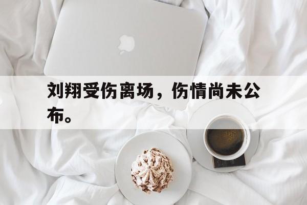 IM电竞手机app-刘翔受伤离场，伤情尚未公布。