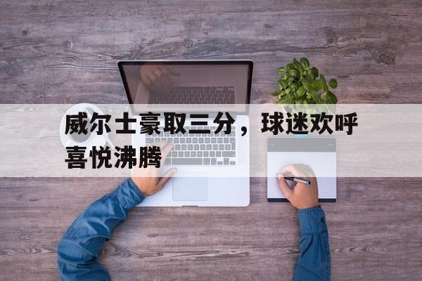 IM电竞下载官方-威尔士豪取三分，球迷欢呼喜悦沸腾